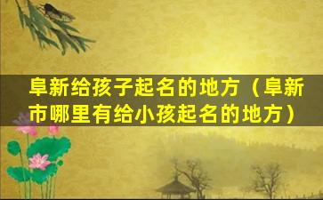 阜新给孩子起名的地方（阜新市哪里有给小孩起名的地方）