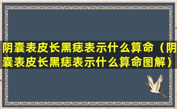 阴囊表皮长黑痣表示什么算命（阴囊表皮长黑痣表示什么算命图解）