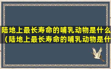 陆地上最长寿命的哺乳动物是什么（陆地上最长寿命的哺乳动物是什么动物）