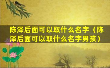 陈泽后面可以取什么名字（陈泽后面可以取什么名字男孩）