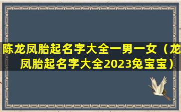 陈龙凤胎起名字大全一男一女（龙凤胎起名字大全2023兔宝宝）