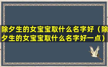 除夕生的女宝宝取什么名字好（除夕生的女宝宝取什么名字好一点）