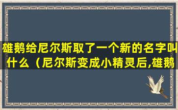 雄鹅给尼尔斯取了一个新的名字叫什么（尼尔斯变成小精灵后,雄鹅给他取了一个新的名字叫什么）