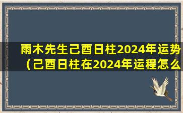 雨木先生己酉日柱2024年运势（己酉日柱在2024年运程怎么样）