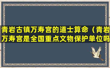 青岩古镇万寿宫的道士算命（青岩万寿宫是全国重点文物保护单位吗）