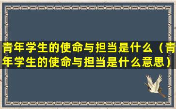 青年学生的使命与担当是什么（青年学生的使命与担当是什么意思）