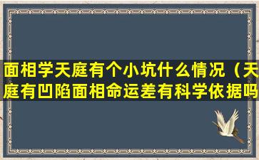 面相学天庭有个小坑什么情况（天庭有凹陷面相命运差有科学依据吗）