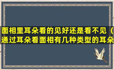 面相里耳朵看的见好还是看不见（通过耳朵看面相有几种类型的耳朵吗）