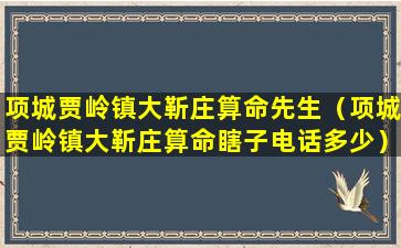 项城贾岭镇大靳庄算命先生（项城贾岭镇大靳庄算命瞎子电话多少）