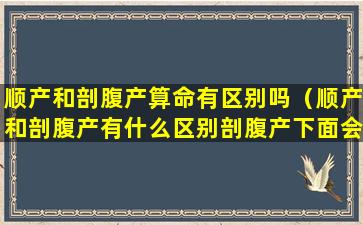 顺产和剖腹产算命有区别吗（顺产和剖腹产有什么区别剖腹产下面会松吗）