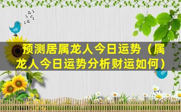 预测居属龙人今日运势（属龙人今日运势分析财运如何）