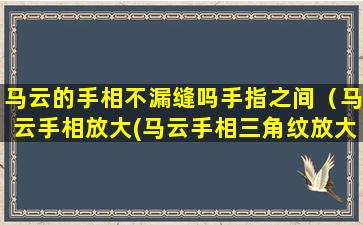 马云的手相不漏缝吗手指之间（马云手相放大(马云手相三角纹放大照)）