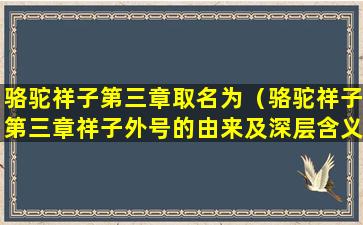 骆驼祥子第三章取名为（骆驼祥子第三章祥子外号的由来及深层含义是什么）