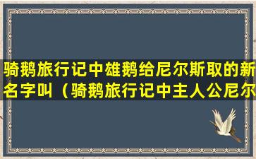 骑鹅旅行记中雄鹅给尼尔斯取的新名字叫（骑鹅旅行记中主人公尼尔斯骑的那只鹅的名字是）