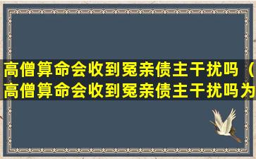 高僧算命会收到冤亲债主干扰吗（高僧算命会收到冤亲债主干扰吗为什么）