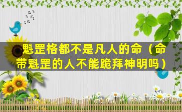 魁罡格都不是凡人的命（命带魁罡的人不能跪拜神明吗）