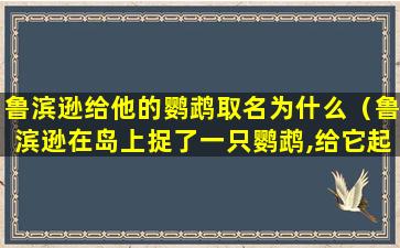 鲁滨逊给他的鹦鹉取名为什么（鲁滨逊在岛上捉了一只鹦鹉,给它起名叫什么）