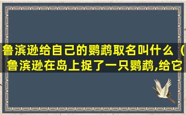 鲁滨逊给自己的鹦鹉取名叫什么（鲁滨逊在岛上捉了一只鹦鹉,给它起名叫什么）