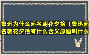 鲁迅为什么起名朝花夕拾（鲁迅起名朝花夕拾有什么含义原题叫什么）