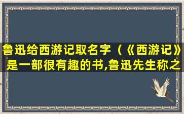 鲁迅给西游记取名字（《西游记》是一部很有趣的书,鲁迅先生称之为什么）