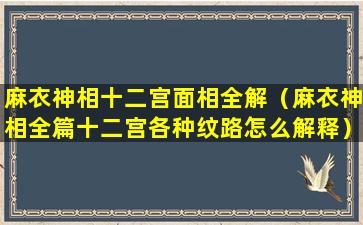 麻衣神相十二宫面相全解（麻衣神相全篇十二宫各种纹路怎么解释）