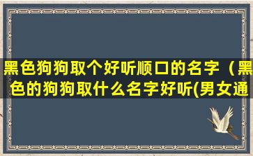 黑色狗狗取个好听顺口的名字（黑色的狗狗取什么名字好听(男女通用)）