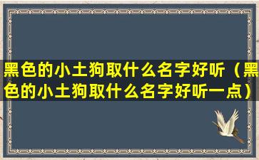 黑色的小土狗取什么名字好听（黑色的小土狗取什么名字好听一点）