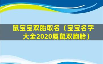 鼠宝宝双胎取名（宝宝名字大全2020属鼠双胞胎）