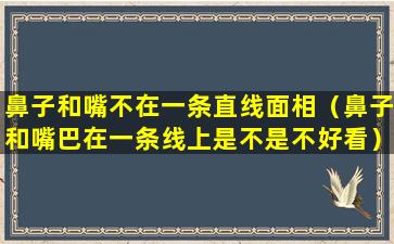 鼻子和嘴不在一条直线面相（鼻子和嘴巴在一条线上是不是不好看）