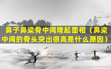 鼻子鼻梁骨中间隆起面相（鼻梁中间的骨头突出很高是什么原因）