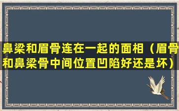 鼻梁和眉骨连在一起的面相（眉骨和鼻梁骨中间位置凹陷好还是坏）