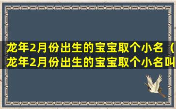 龙年2月份出生的宝宝取个小名（龙年2月份出生的宝宝取个小名叫什么）