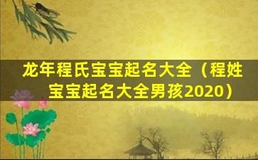 龙年程氏宝宝起名大全（程姓宝宝起名大全男孩2020）