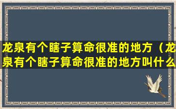 龙泉有个瞎子算命很准的地方（龙泉有个瞎子算命很准的地方叫什么）