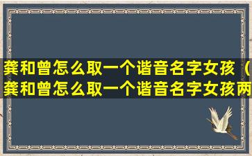 龚和曾怎么取一个谐音名字女孩（龚和曾怎么取一个谐音名字女孩两个字）